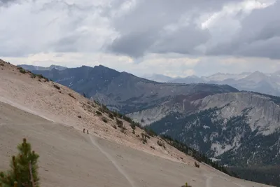 DSC_3053 (Large).JPG